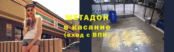 дмт Богданович