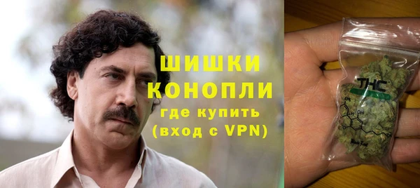 дмт Богданович