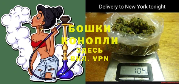 дмт Богданович