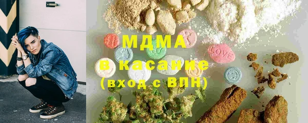 дмт Богданович
