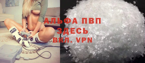 дмт Богданович